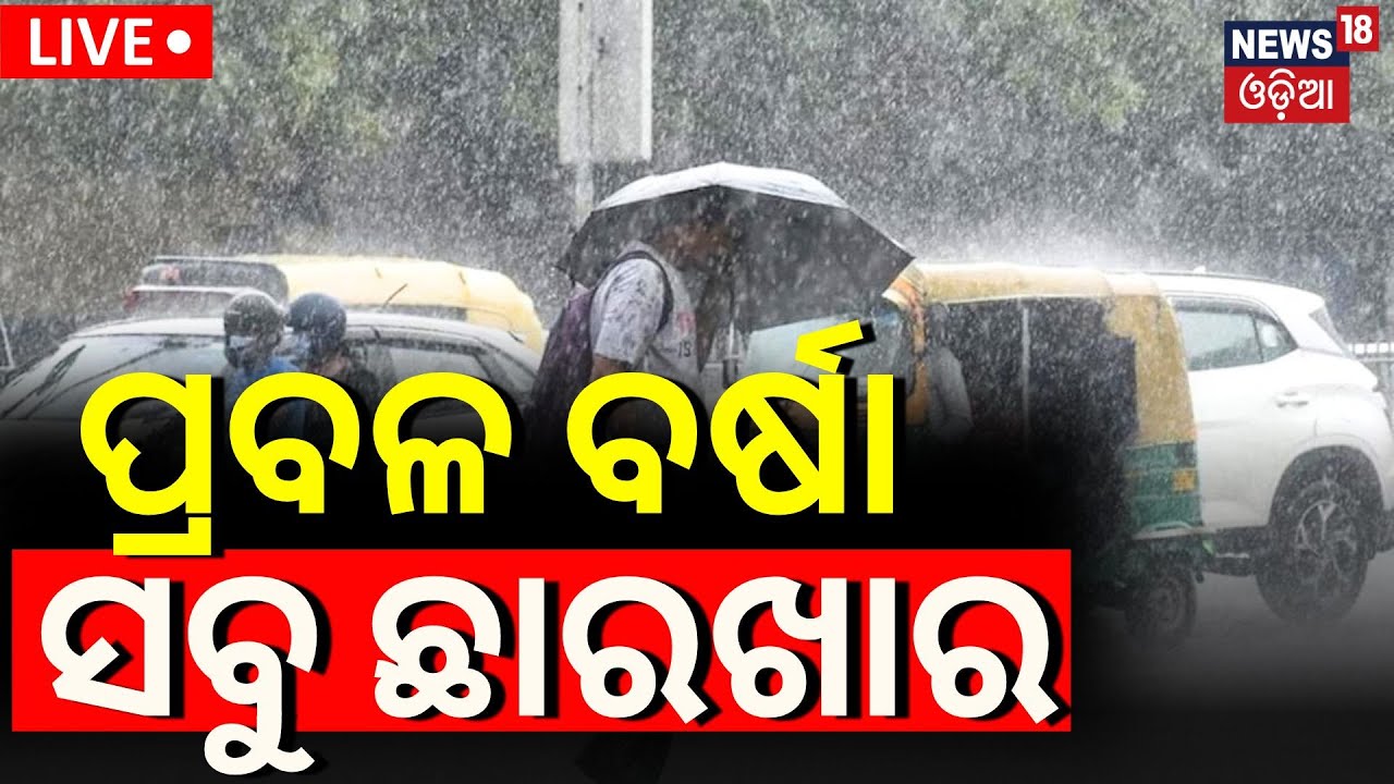 Live: ପ୍ରବଳ ବର୍ଷା, ସବୁ ଛାରଖାର | Flood Like Situation In Gujarat Due To Heavy Rains