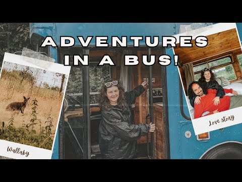 Adventures in a bus and meeting wallabies! 🚌🦘 #2