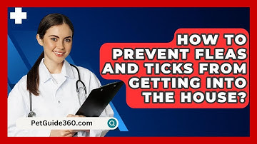 How To Prevent Fleas And Ticks From Getting Into The House? - PetGuide360.com