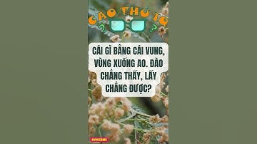 Câu Đố Vui Nhộn 2: Thử Thách Tư Duy Logic Của Bạn p55 | Cao Thủ IQ #funny #dovui #giaitri #haihuoc