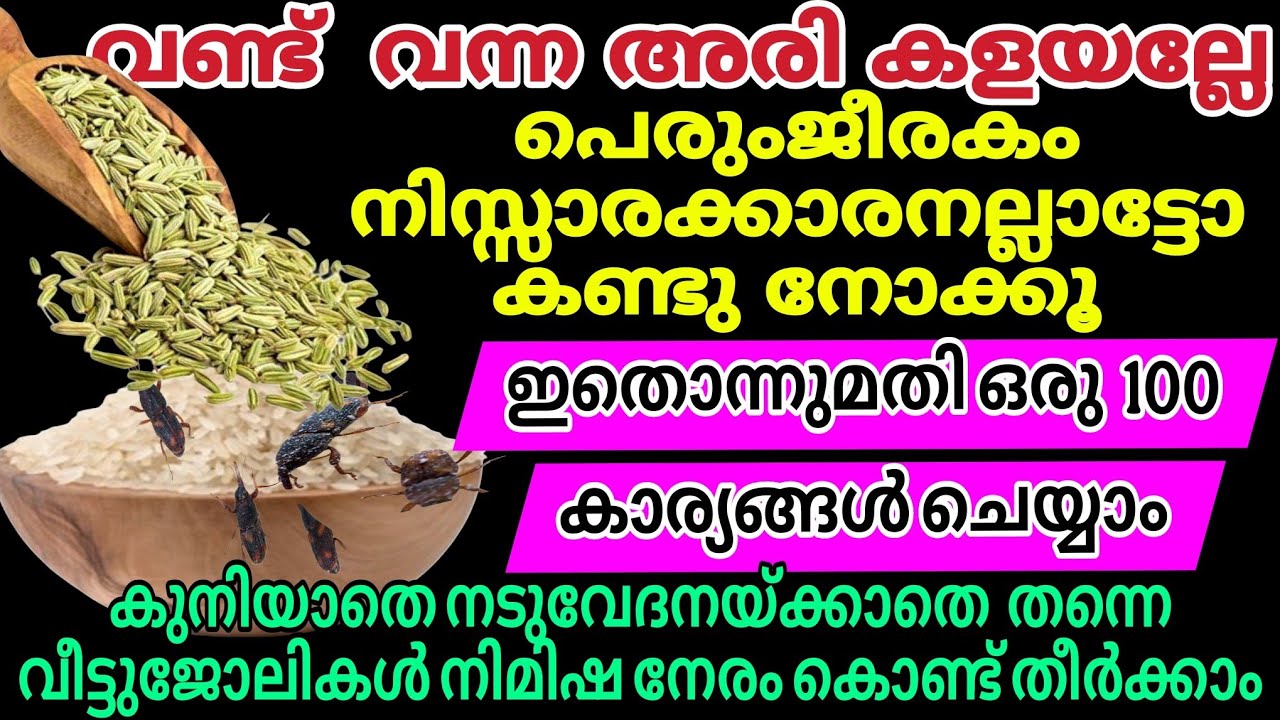വണ്ടു വന്ന അരി കളയല്ലേ  പഴയ സോക്സ് മതി 👌 കുനിയാതെ നടുവേദനയ്ക്കാതെ വീട്ടിലെ ജോലികൾ ഇനി എന്തെളുപ്പം