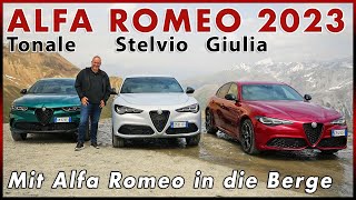 Club der Alfa Romeo Giulia, Stelvio und Tonale Fahrer