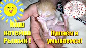 Мир чудесных путешествий