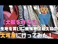 【犬服を作ろう】生地を買いに東海地区最大級の大塚屋に行ってみた！ イタグレ メルちゃん