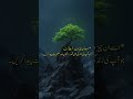 ##motivation #motivationalvideo