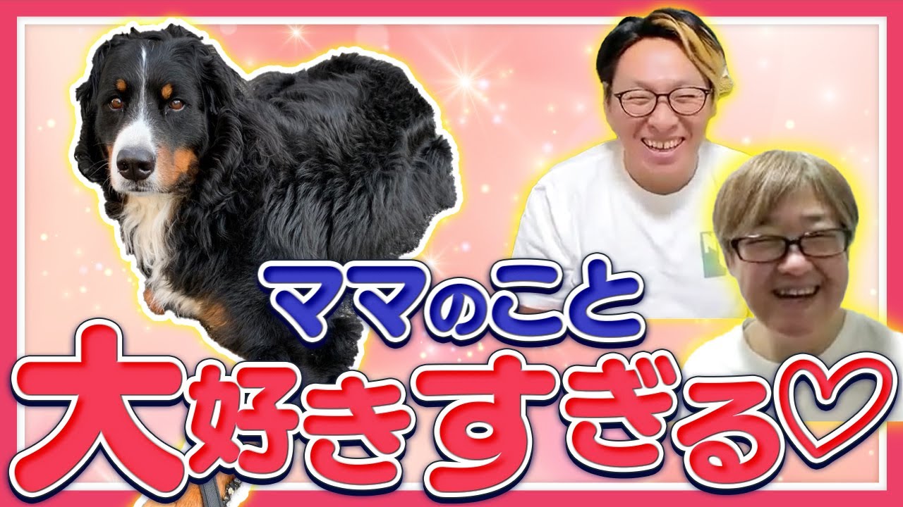 ママ大好ワンチャンに不満はないのか聞いてみた🐶