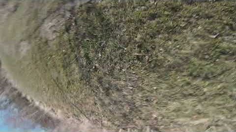 BetaFlight Dynamic Filter FTW!