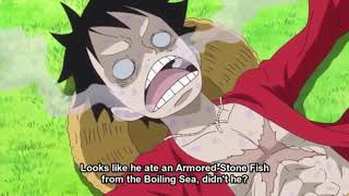 Luffy's first kiss