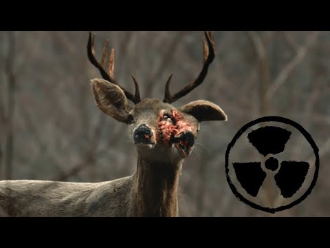 Video: A Creepy Mutant Deer Caught On Video - Alternative View