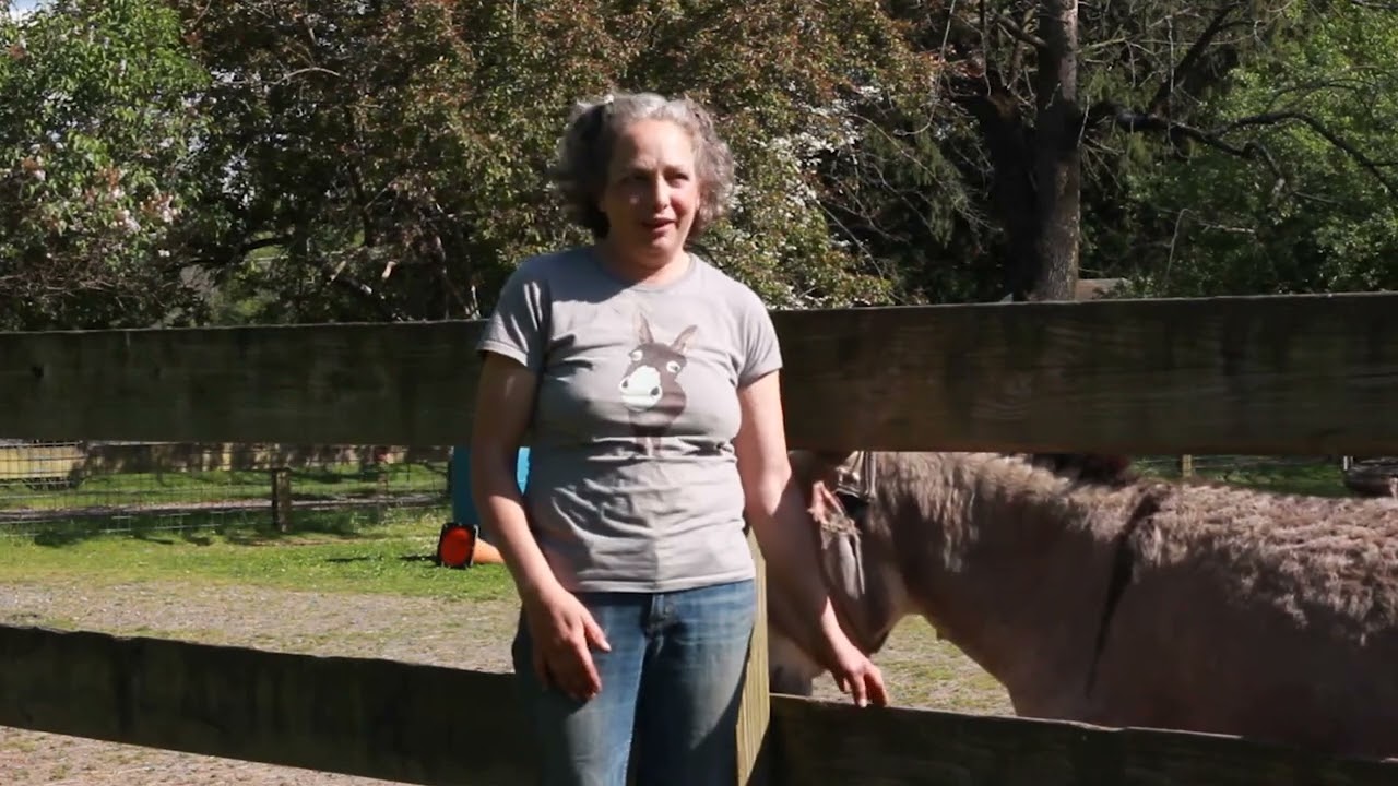 Pin the date on the donkey