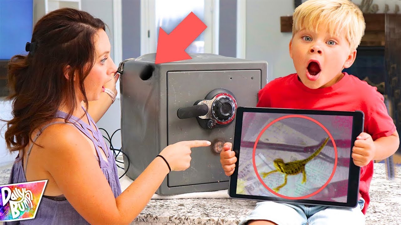 canon definicion LOST BEARDED DRAGON TRAPPED INSIDE THE ABANDONED SAFE! 😱 💥