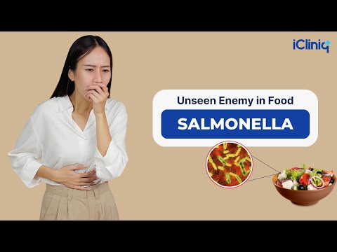 How to Avoid Salmonella Food Safety Tips to Prevent Food Poisoning iCliniq