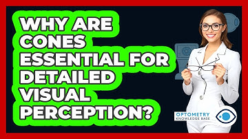 Why Are Cones Essential For Detailed Visual Perception?