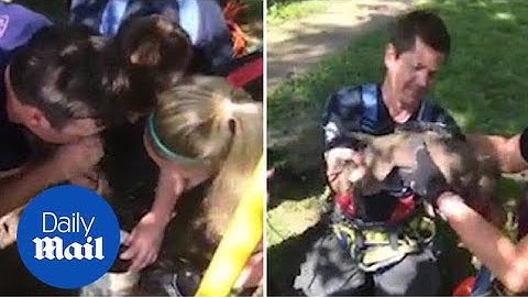 Firefighters save a puppy who was trapped in a pipe - Daily Mail