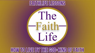 The Faithlife of David: The Power Principles for a Powerful Faith Life