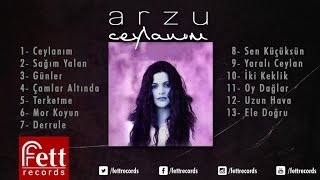 Arzu - Sen Küçüksün Resimi