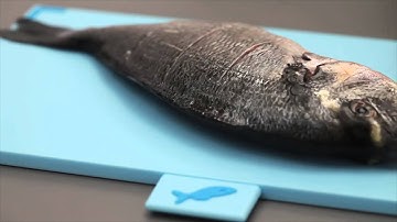 Joseph Joseph Index™ - Tábuas de Corte mimocook