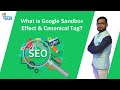 What is google sandbox effect  what is canonical tag  easy digi academy