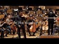 In the mind of Ray: Saint-Saens Introduction & Rondo Capriccioso