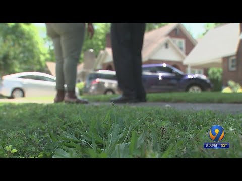 rock-hill-police-officer-fired-after-pulling-gun-during-traffic-stop-for-seat-belt-violation