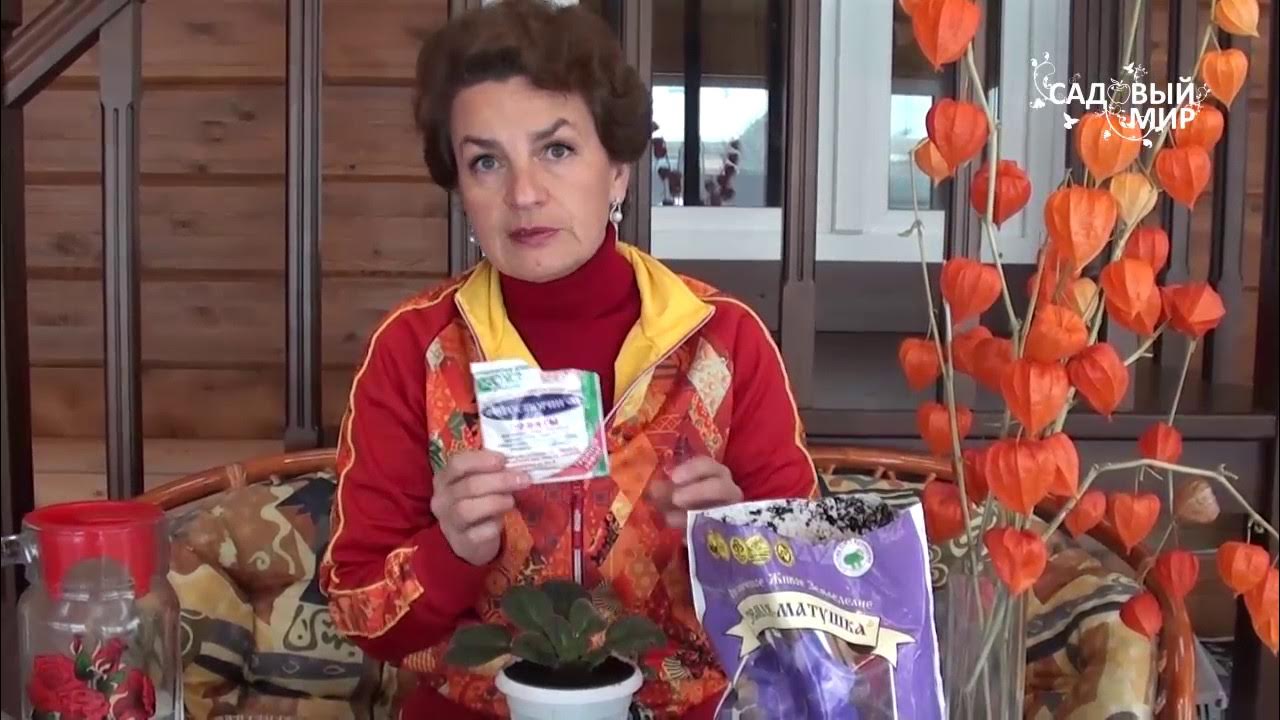 Как пересаживать фиалки. Сайт "Садовый мир" - YouTube