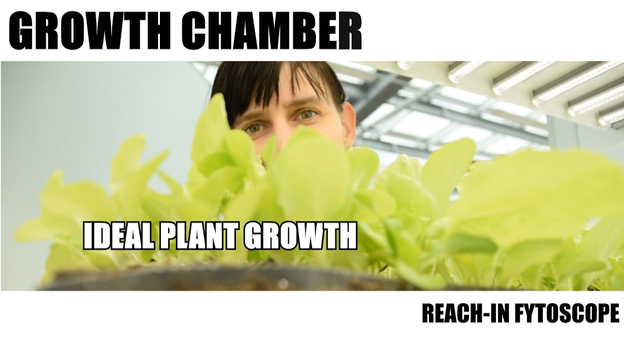 Growth Chamber: Reach-In Fytoscope