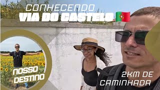 Viana do Castelo Portugal 🇵🇹 ( Destino Plantação de Girassóis )