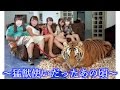 私が猛獣使いだったあの頃…
