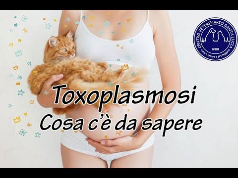 Video: Toxoplasmosi Nei Cani