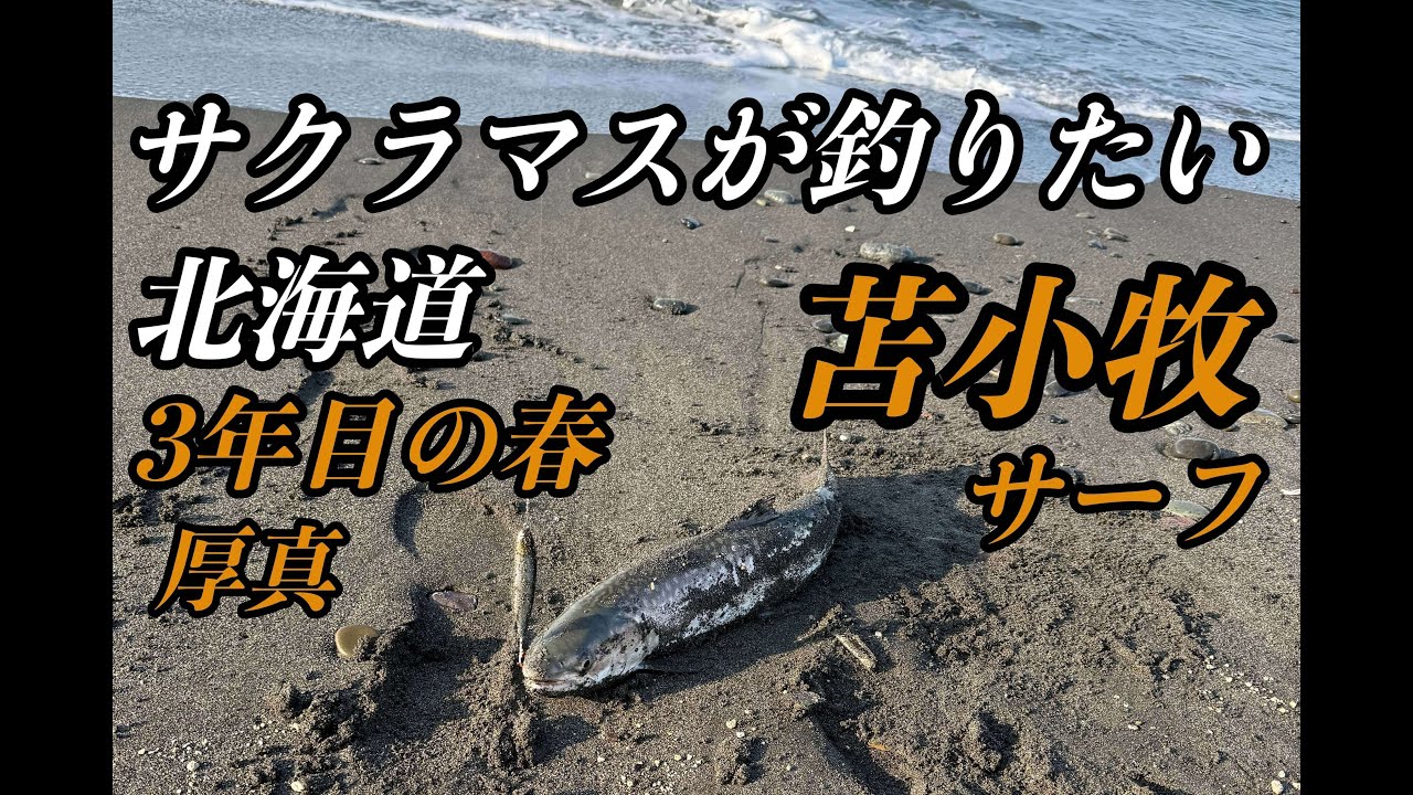 北海道サクラマスチャレンジ　3年目の春
