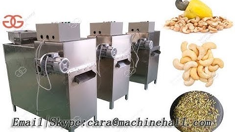 Test Video About Peanut Almond Strip Cutting Machine Almond Slivering Cutter Machine