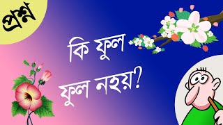 কি ফুল ? || Assamese Hathor Video || Assamese Sathor - Assamese Hathor || Gyanar Nagar