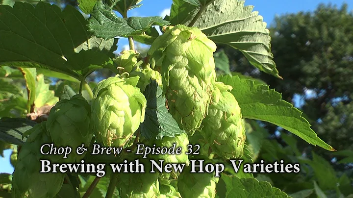 Chop & Brew - Episode 32: Brewing with New Hop Var...