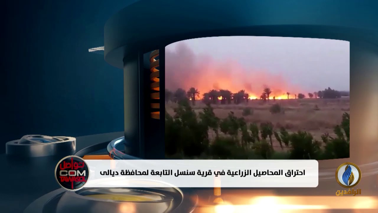 #تواصل_دوت_كوم | احتراق المحاصيل الزراعية في قرية سنسل التابعة لمحافظة #ديالى