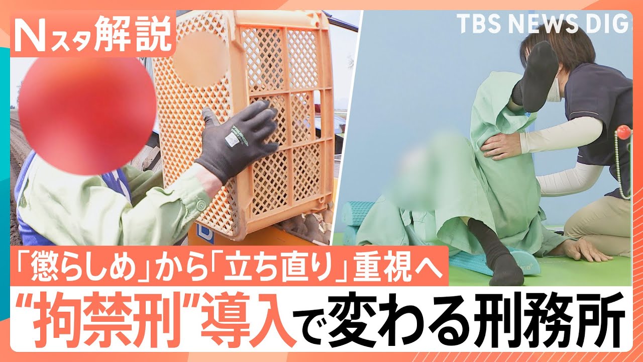 「惜しまれる人材になって死にたい」“拘禁刑”導入で変わる刑務所　再犯防止・社会復帰が最大の目的に【Nスタ解説】｜TBS NEWS DIG