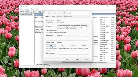 How To Fix PCL XL Error in Printer Windows 10/11