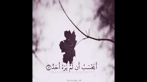 آيات قرانيه قصيرة 🍃 تلاوة مؤثرة بصوت فارس عباد