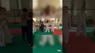 Taekwon-Do Skola