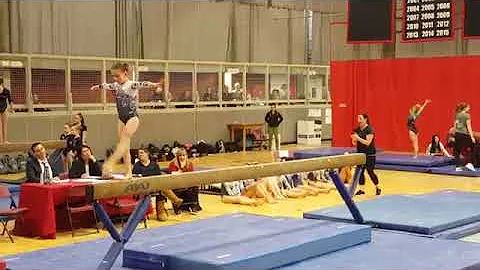 Evy's 9.475 Beam Routine - Level 4