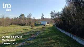 Quinta da Bouça Mamouros Castro Daire