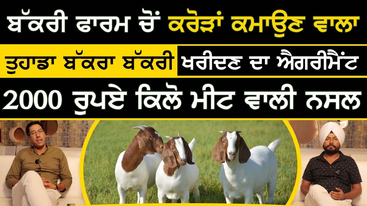 Bakri Farm ਚੋਂ ਕਰੋੜਾਂ ਕਮਾਉਣ ਵਾਲਾ Bhupinder Singh Brar | Goat Farming | Sirlekh