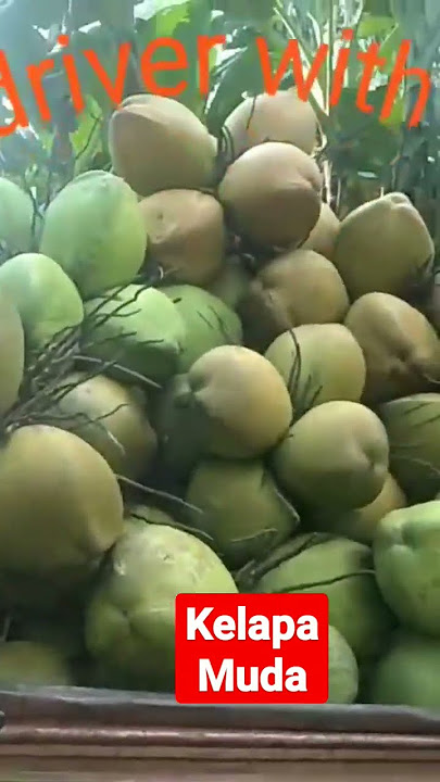 viar 200cc muatan kelapa muda full