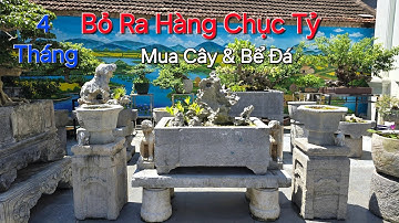 CHOÁNG chi ra SỐ TIỀN HÀNG CHỤC TỶ mua Cây Cảnh & Bể Đá Cổ xếp giàn dạt * NV HOÀN HUỆ - PHỦ LÝ - NB.