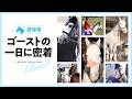 愛称は『おばけくん』 誘導馬ゴーストの一日に密着
