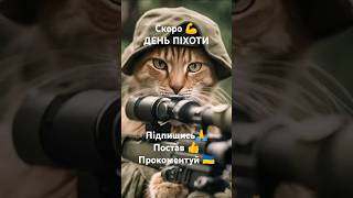 Скоро наші котики відзначають День піхоти 6.05 Не забудьте привітати героїв #military #army #soldier