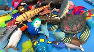 Shark Toys Unboxing with Sea Animal Fun Facts for Kids