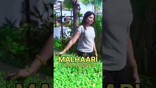 Malhari Food &amp; drinks  #shorts #aesthetic #viral