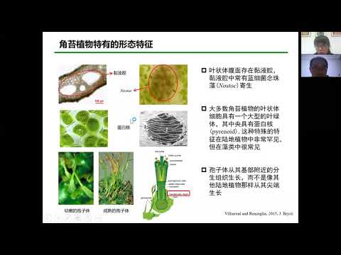 CGM第81期:  角苔基因组与早期陆地植物进化