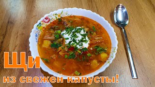 картинка: Суп Щи из свежей капусты. Скороварка.  Домашний вкусный рецепт!