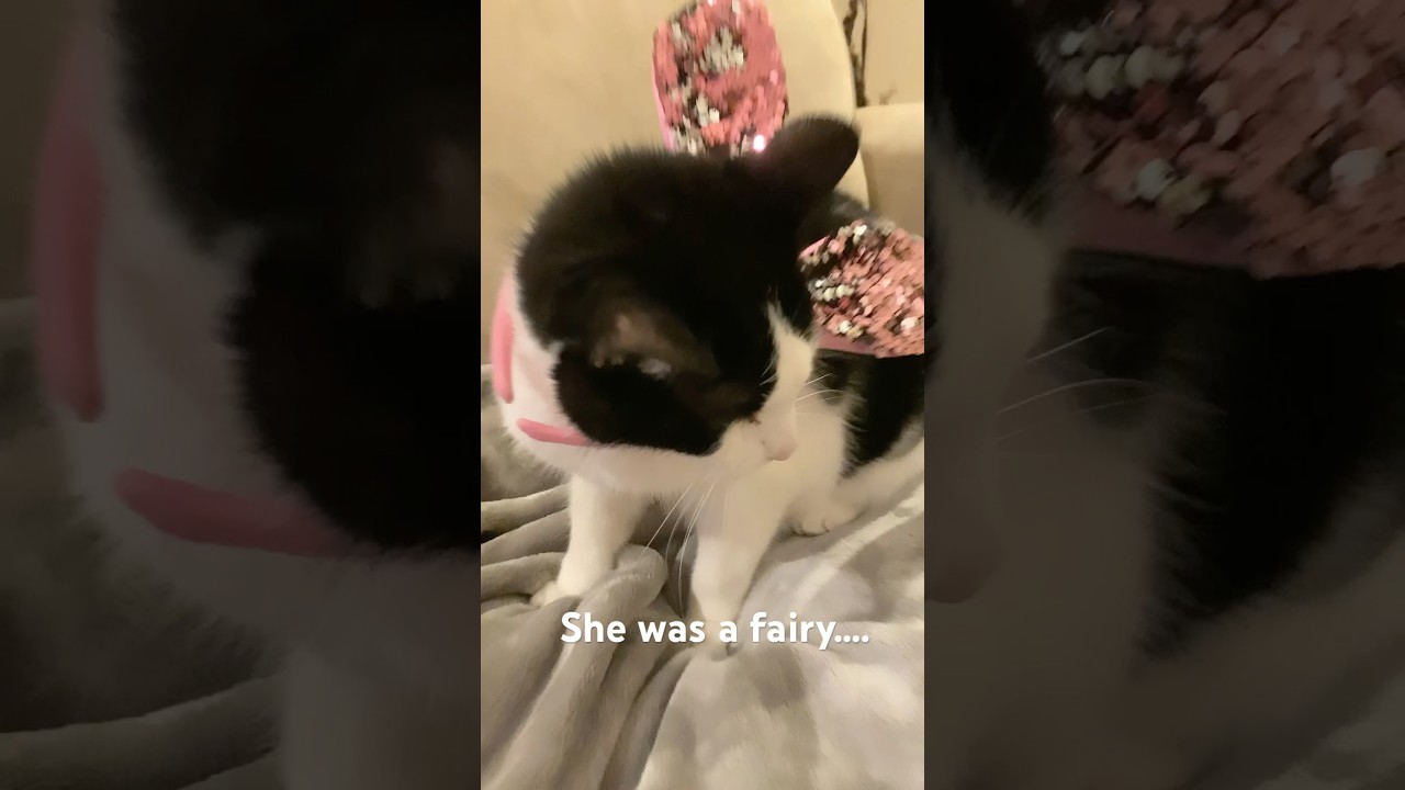 My little fairies!!! 